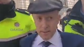 TD warns of potential 'Jo Cox moment' as Michael Healy-Rae harassment video goes viral