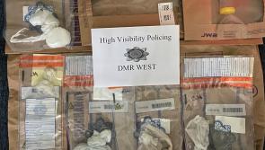 Over &euro;21,000 worth of drugs and a firearm seized by garda&iacute; in search