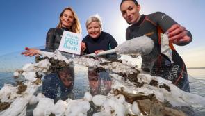 Increase of Irish adults using the toilet as a bin