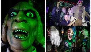 PICTURES: Irish home transforms into Halloween House of Horrors for charity