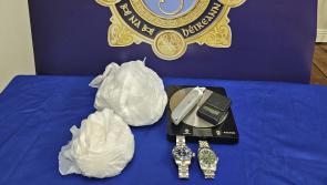 Garda&iacute; find &euro;70,000 of cocaine and Rolex watches in Dublin raid 