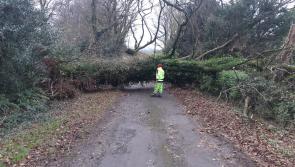 Ireland facing a 'conveyor belt of storms' as clean-up after Storm Debi under way