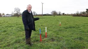 Limerick farmers treated with 'disdain' over Adare Bypass construction