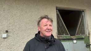 WATCH: Enda Bolger gives his thoughts on the Christmas festival of races in Limerick 