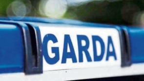 Gardai issue notice of fake news on fatal crash that saw a Garda killed 