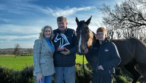 WATCH: Shark Hanlon reflects on miracle horse Hewick ahead of Cheltenham bid