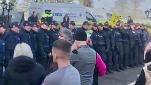 Gardai clash with protesters in Roscrea as asylum seekers are moved into Racket Hall Hotel