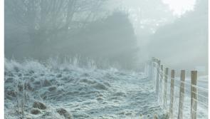 Met &Eacute;ireann says animal welfare at risk as cold weather warning issued