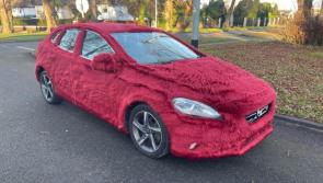 PICTURES: Unusual fluffy car 'fur' sale in Ireland sparks hilarious online comments
