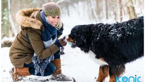 EXPLAINER: How to protect your dog on cold winter walks 