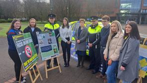 WATCH: 'Make sure you get home safe' - Garda&iacute; launch road safety appeal after Carlow crash