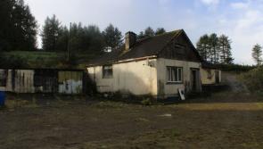 PICTURES: One of the cheapest 5-beds in Limerick for sale for &euro;95,000 but needs work
