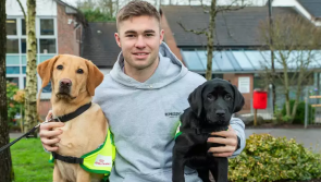 'It can change lives' - Irish Guide Dogs for the Blind are looking for puppy raisers