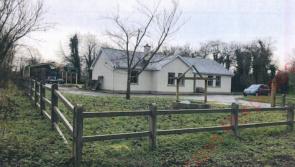 Appeal over 'excessive' shed at rear of Clare home is dismissed