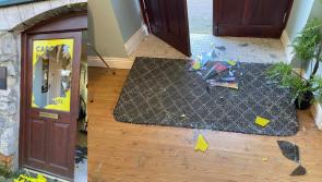 TD vows to continue 'undeterred' after window smashed in her office