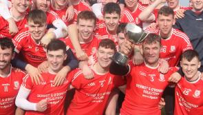 Limerick champions Monaleen celebrate All-Ireland Junior 'B' hurling final success