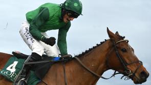 The 18/1 Cheltenham preview accumulator that every tipster seems to fancy