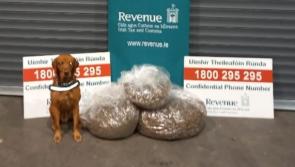 Cannabis found in parcels destined for Louth sniffed out by detector dog James