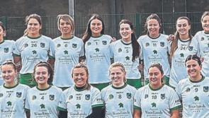 Limerick senior camogie team for Antrim league clash named