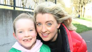 PICTURES: Hurling fans support Limerick at Allianz League semi-final clash with Kilkenny