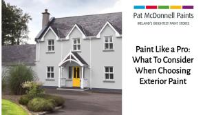 Paint Like a Pro: What to consider when choosing exterior paint