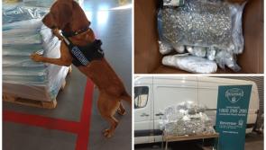 Major cannabis haul found hidden in consignment of bottled water and garden supplies