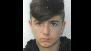 Garda&iacute; renew appeal for teen missing for almost two months