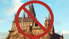 Risk of choking and sight damage prompts immediate recall of Harry Potter toy