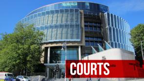 Murder accused told garda&iacute; he was defending himself when he struck deceased