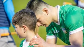 PICTURES: Fans show their support for Limerick U20 hurling team in Munster Championship 