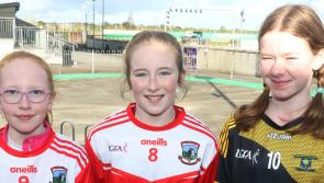 PICTURES: Rising GAA stars showcase skills at Limerick Greyhound Stadium