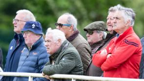 PICTURES: Fans show their support for UL Bohemians in AIL play-off battle 