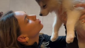 'I'm completely in shock' - Puppies & Yoga spokesman responds to online backlash