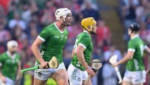 Plenty to work on for Limerick hurlers before Waterford clash 