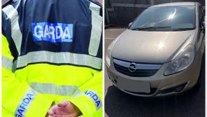 Disqualified driver who was 'trying to dodge' garda&iacute; arrested and car seized