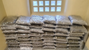 Garda&iacute; seize &euro;1m worth of vacuum-packed cannabis from warehouse in Meath