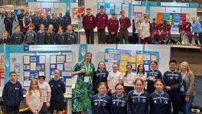 PICTURES: Were you one of the Limerick schools at day one of the ESB Science Blast?