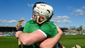 The experts' view ahead of Limerick's crunch Munster SHC clash with Waterford