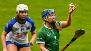 Limerick senior camogie side to face Kilkenny in All-Ireland championship named