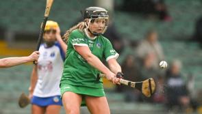 Limerick senior camogie side to face Waterford in All-Ireland championship named