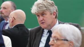 Clare TD Michael McNamara elected to European Parliament as Ireland South count concludes