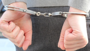 Teenager arrested after assault of woman on popular forest trail in Cork