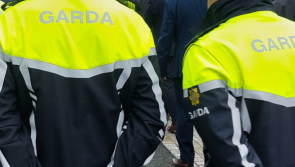 Teen arrested by Garda&iacute; investigating violent LGBT hate crime at Phoenix Park