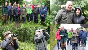 PICTURES: Nature lovers unite to enjoy bird watch walk across Limerick border