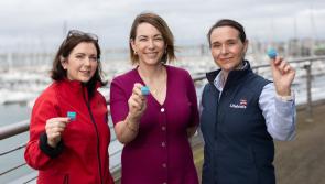 Urgent appeal to swimmers and bathers to 'act responsibly' to prevent further tragedy