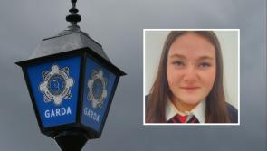Garda&iacute; stand down search for 16-year-old girl missing since Monday