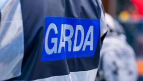 Garda&iacute; arrested third man in connection with fatal stabbing in County Dublin