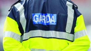 Man dies in early morning crash involving truck in Kildare as garda&iacute; appeal for witnesses