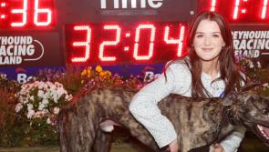 PICTURE: Irish St. Leger WillWeGo.com takes place in Limerick Greyhound stadium