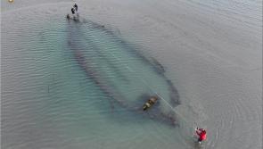 Shifting sands unveils three new historic shipwrecks to local photographer off Irish coast